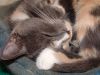 DSC04106.thumb.JPG.20e96ff4399da9ea3c4b0e1710fdd2d9.JPG