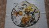 DSC05444.thumb.jpg.8a860f36f119957db4a7838c1f8c240e.jpg