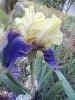 DSC06791.thumb.JPG.9fc51c899c48ed0600bda1a20108eddc.JPG?1506363652586