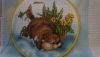 DSC06928.thumb.jpg.b117e0b664b8a3b7b2e7fcc7a99c1538.jpg