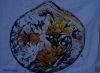 DSC08642.thumb.jpg.2b9ae4826c1388e8248d208970af7f32.jpg