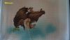 DSC08687.thumb.jpg.1e37f43a5837341913e810d076ddfe3b.jpg