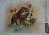 DSC08785.thumb.jpg.b42e762d4e8912859d7ce1e757e60efb.jpg