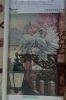DSC08790.thumb.jpg.f286fa0938cbf2d36dfe2873913d7258.jpg