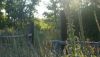 DSC09831.thumb.JPG.bd39a2df3bb2d9b18f93951f44b63c81.JPG