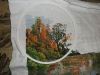 DSCF1644.thumb.JPG.e58ca98779b0eea19d03fe17947e0da3.JPG