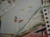 DSCN2040.thumb.JPG.3505e5a7504a6363d95d93b9a77fa0c9.JPG