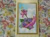 DSCN2044.thumb.JPG.9ab8a0549be024ba362d93a08bb58db7.JPG
