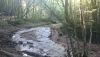 DSC_0003.thumb.JPG.c8d7cca2a30c68ec412d4712c23fb592.JPG