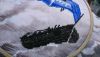 DSC_0004.thumb.JPG.b87099e9b9c3f905c8393e50c5db43c2.JPG