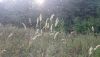 DSC_0047.thumb.JPG.bfcc86f78adbb3cd8ec2ba48f628c452.JPG