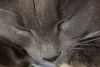 DSC_4512.thumb.JPG.623ae38a8cc40d1eef7bc19c3a2ae100.JPG