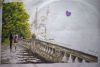 DSC_4650_.thumb.jpg.1ac971447d1432bee6d5c7c0e14ec14d.jpg