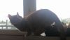 DSC_6521.thumb.JPG.a8353dafde8e4d943d74258a633f15fd.JPG