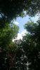 DSC_6531.thumb.JPG.22020c88e61d04e1de40c0351deed9e4.JPG