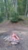 DSC_6539.thumb.JPG.8162a0a5518e15f2c25376e7e04a2f54.JPG
