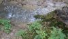 DSC_6544.thumb.JPG.ea74bef6677e2d33047deac6c4e2effa.JPG