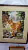 DSC_6551.thumb.JPG.f4ce5e61bb978154486e6f2c6e0e9627.JPG