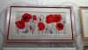 DSC_6556.thumb.JPG.eaa6c6432147bb2b8a37f031ccd5c110.JPG