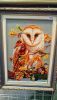 DSC_6624.thumb.JPG.f905dec792aa6afbcb8d04b8ed70abfd.JPG