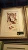 DSC_6638.thumb.JPG.86b82f4ec802eb6c75448f2b94ed5c02.JPG