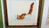 DSC_6692.thumb.JPG.7788b7864284753d8bab3e534f5bb39e.JPG