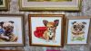 DSC_6701.thumb.JPG.5cdf009a9b37f0ed57856332d269c938.JPG
