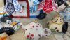 DSC_6725.thumb.JPG.ec642679c2021b9b14120b99c95844a7.JPG