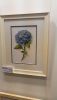 DSC_6778.thumb.JPG.454f8f5256fa5ec9c14d3eb7027ff3db.JPG