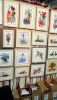 DSC_6791.thumb.JPG.75e632c46ad9fb7d537f817a5a0dbdf9.JPG