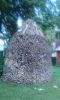 IMG-20170617-WA0011.jpg