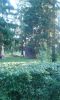 IMG-20170618-WA0004.jpg