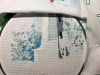 IMG_20170805_020424.jpg