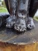 IMG_20170828_134946.thumb.jpg.8fb81fe78cd9fdbc6deabcd7f0ea2114.jpg