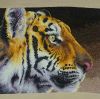 IMG_20170829_202405_323.thumb.jpg.b93128921ac17d0336a0951704971dbe.jpg
