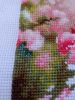 IMG_20170903_113048.thumb.jpg.ab442a94eb3a3838384a1cb4839092af.jpg