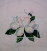 IMG_20170909_225206.thumb.jpg.b61262c57dfb43a9e988a2623198095c.jpg