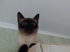 IMG_20170911_200934.thumb.jpg.9beb367e517e2bb96de7463e13f1b57c.jpg