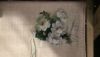 IMG_20170917_094757.thumb.jpg.5af6ec9d525c1e42d3d6efceed91655d.jpg