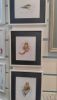 IMG_20170928_130121.thumb.jpg.7a11059a51b92c569d3a52f44e606a4f.jpg