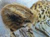 IMG_20170930_213217.jpg