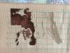 IMG_4252.JPG