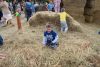 IMG_6089.thumb.jpg.1c5cd74a6dc0ef05293ee2449b20984a.jpg