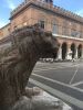 IMG_7884.thumb.jpg.2f570fbb79d5379fb05ca8d67b0ec6f4.jpg