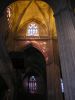 PA310023.thumb.jpg.9008127ab3ea80f4e62eac0d3a311dcd.jpg