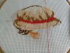 WIN_20170919_140906.thumb.JPG.3ae52a5fd3ffbea919907ae97a1e32a2.JPG