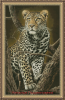 image.png.c0eb748c97e73c5e25f77c0ffa0c3885.thumb.png.f1853479c571f6526395d339581ea1a6.png