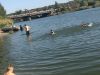 image.thumb.jpeg.6b06b5e83fc5705a01725d6c4cb8b6a4.jpeg