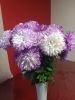 image.thumb.jpeg.af6860205c3d6c4340006a9c79711249.jpeg