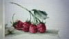 1.thumb.JPG.a08ffe0f8b80418a398a22b6ddfe55aa.JPG